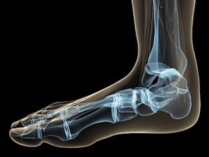 Schematische Darstellung der Fußknochen